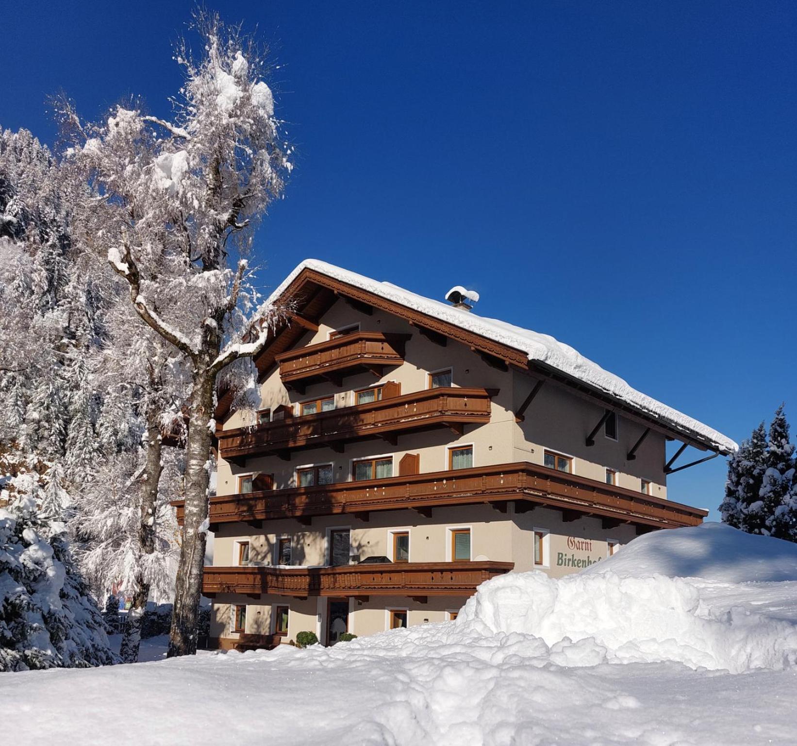 Hotel Garni Birkenhof Mayrhofen Extérieur photo