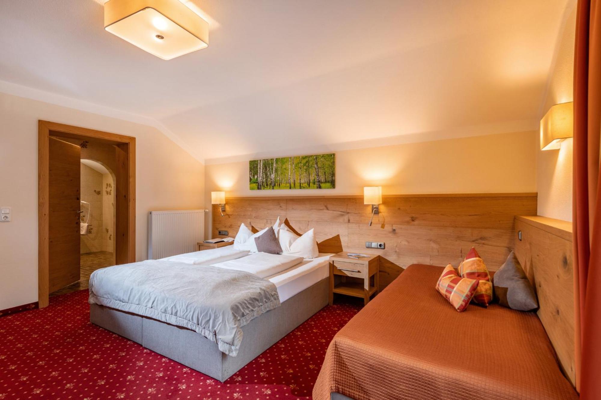 Hotel Garni Birkenhof Mayrhofen Extérieur photo